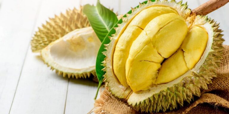 The Durian Fruit: The King of Fruits