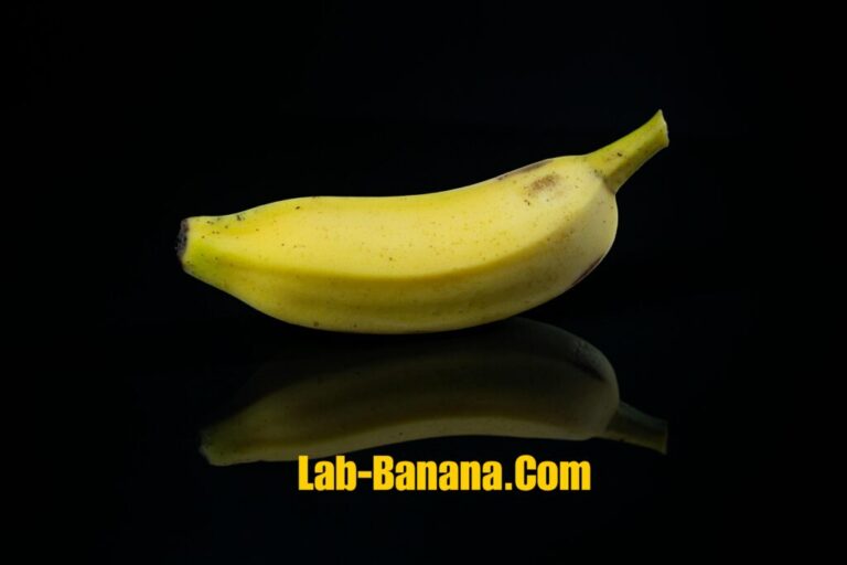 Lab-banana.com business: A Comprehensive Overview of Its Business Model and Strategy