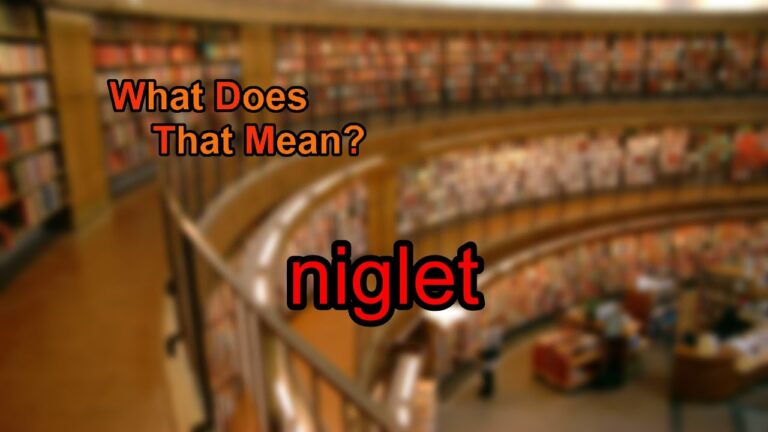 The Meaning and Controversy Surrounding the Term "Niglet"