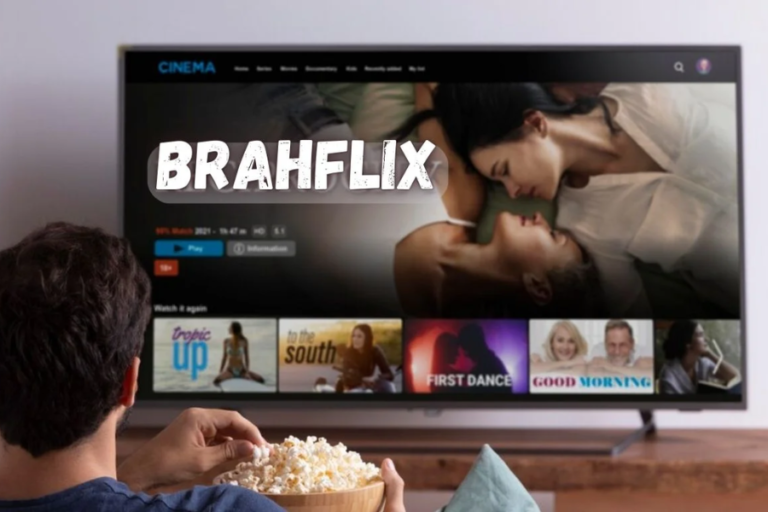 Brahflix: A New Player within the Streaming World