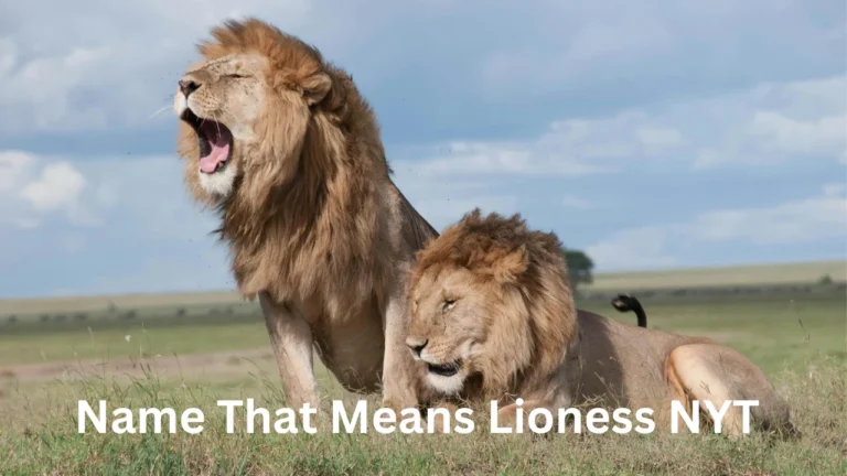 The Name That Means Lioness NYT: Exploring Strong and Powerful Names for Girls