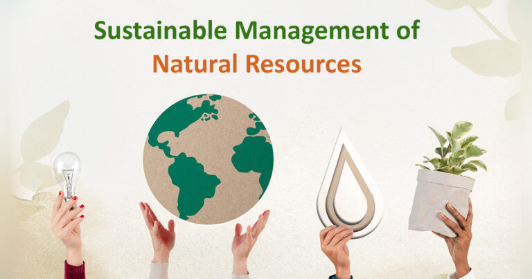 Natural System in Use: Understanding and Embracing Sustainable Practices